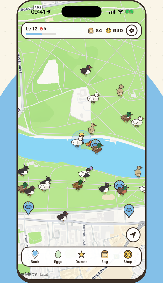Duckabout map with ducks and ponds around the player
