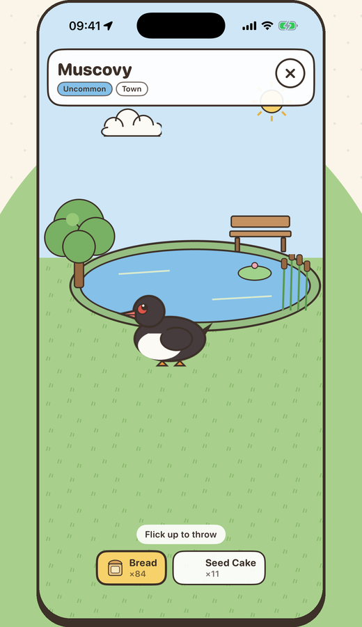Meeting a duck in AR and flicking bread